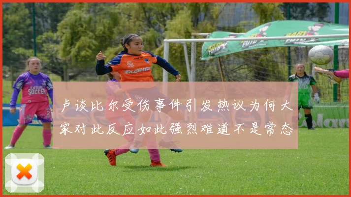 卢谈比尔受伤事件引发热议为何大家对此反应如此强烈难道不是常态吗