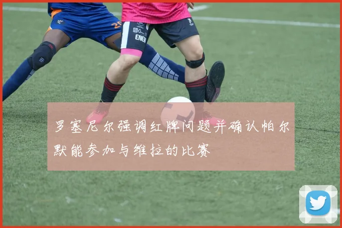 罗塞尼尔强调红牌问题并确认帕尔默能参加与维拉的比赛
