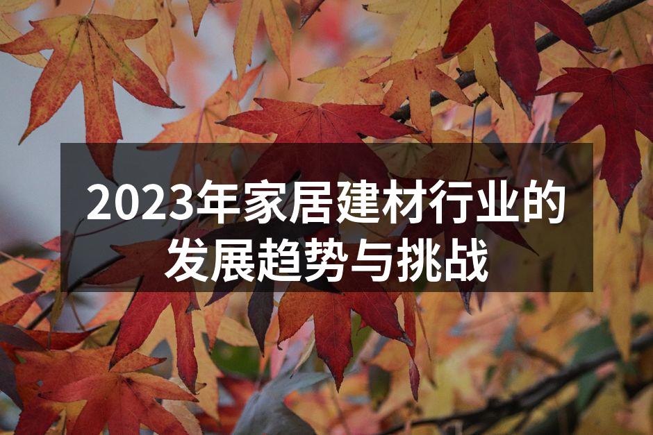 2023年家居建材行业的发展趋势与挑战